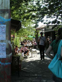 PICT0044